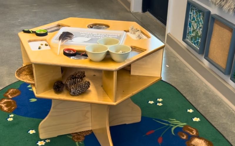 Sensory table for young children at the conservatory at Mahoney State Park.