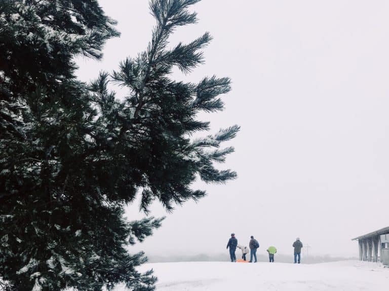Ultimate Winter Guide To Mahoney State Park