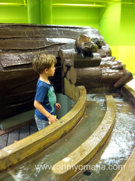 Things kids like at Lincoln Children's Museum - The huge water table