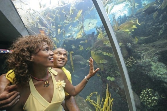 The huge Florida Aquarium is an indoor and outdoor experience: After exploring the inside exhibits, head outside for the outdoor water adventure zone or take the Wild Dolphin Adventure Cruise. Photo courtesy VISIT FLORIDA