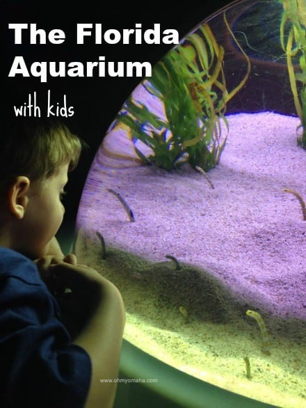 What to expect at The Florida Aquarium in Tampa, especially when you visit with kids | Things kids love in Tampa | Things for kids to do in Tampa | Guide to The Florida Aquarium #familytravel #Florida #Tampa
