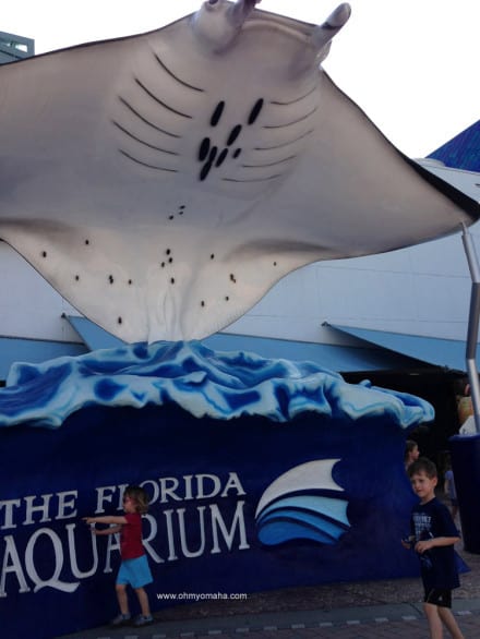 Things to do at The Florida Aquarium - Check out the giant sting ray at the entrance