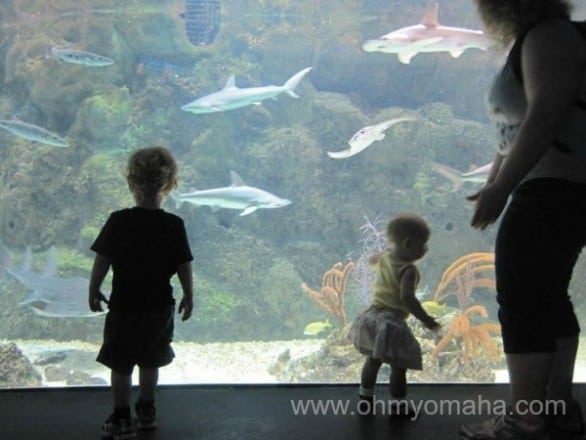 Fun things to do with babies in Omaha - A trip to the zoo is always a hit with young children