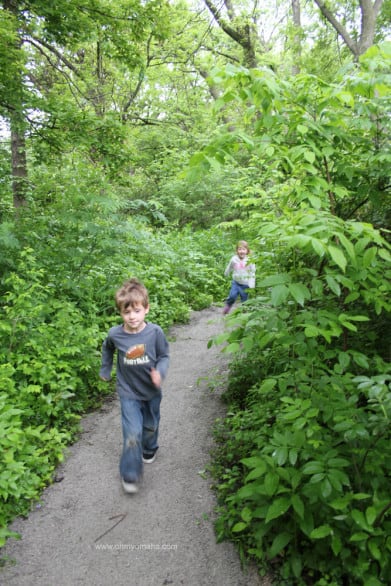 Things to do at Heron Haven - Walk a short, kid-friendly trail
