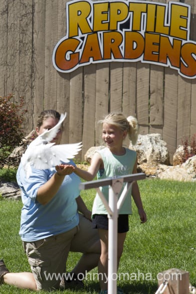 A girl from the audience meets a feathered friend during the bird show at Reptile Gardens in Rapid City, South Dakota.