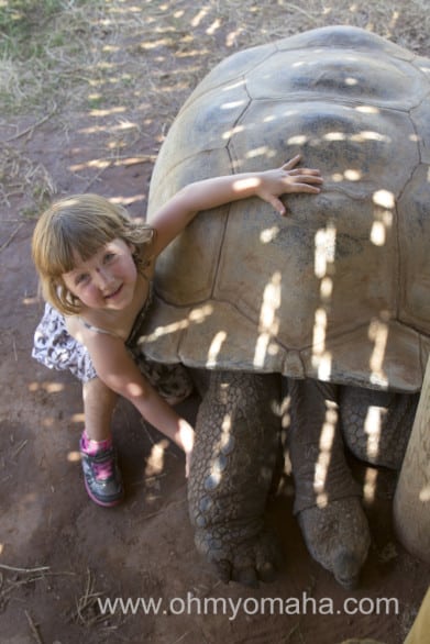 Girl hugging a tortoise at Reptile Gardens in South Dakota