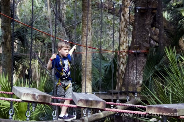 Kid on the ropes course at the Central Florida Zoo
