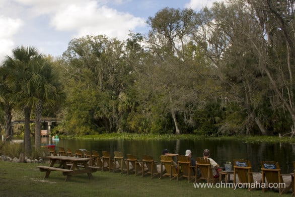 Chairs set up by Wekiva River at the outfitter Wekiva Island in Florida 