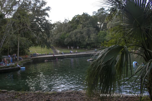 Swimming hole at Wekiva Springs State Park in central Florida