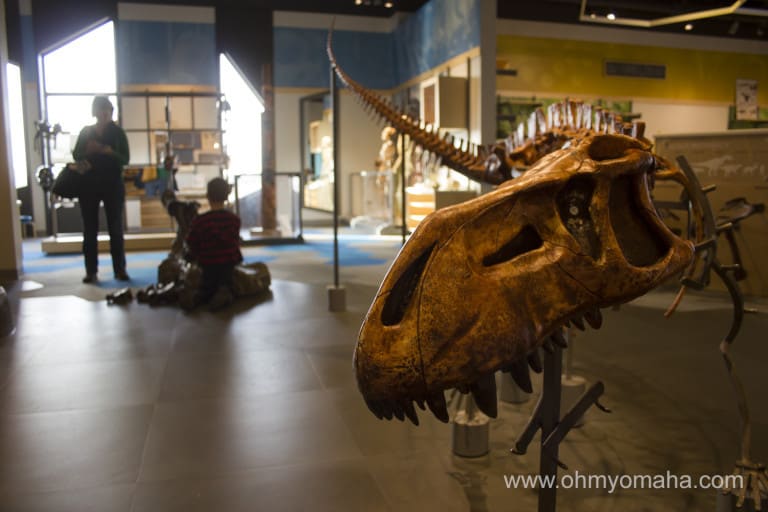Dinosaur fossil inside the Museum at Prairie Fire