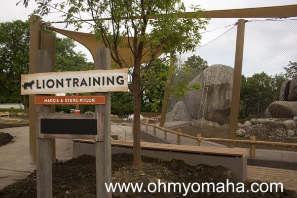 They're putting the finishing touches on the lion training area at the zoo.