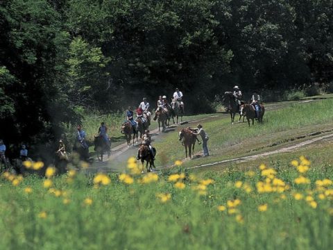 Image for Eugene T. Mahoney State Park