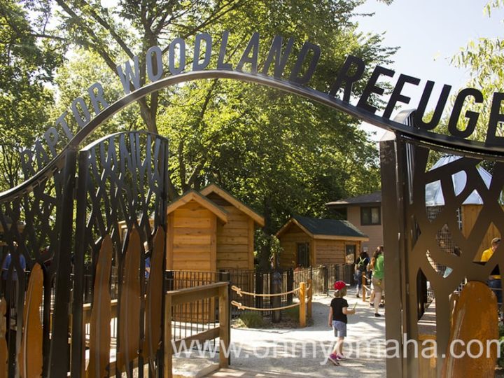 Image for Be one with nature at Fontenelle Forest