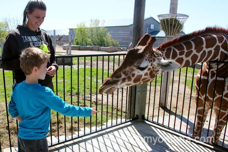 Exploring Tanganyika Wildlife Park