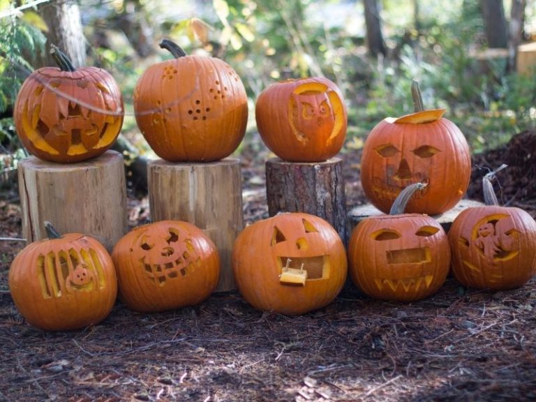 11 Halloween Events In 2024 At Nebraska Parks