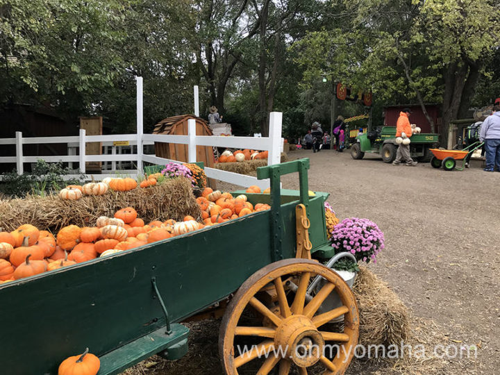 Image for Vala's Pumpkin Patch & Apple Orchard
