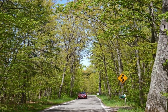 One of the most scenic drives in Michigan is along M-119, also known as the Tunnel of Trees. 