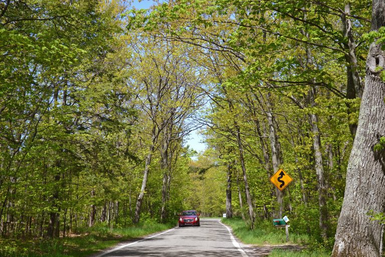 My Little Traverse Bay Bucket List (For A Dream Michigan Road Trip)