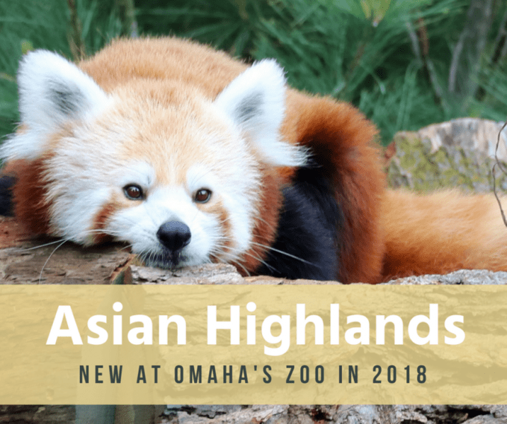 What’s At Omaha Zoo’s Asian Highlands