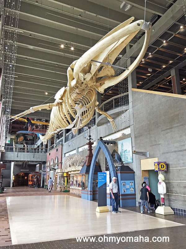 Sperm Whale skeleton in the main hall in Grand Rapids Public Museum