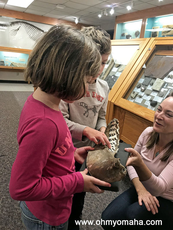 Touching a shark's jaw at Fryxell Geology Museum in Rock Island, Illinois