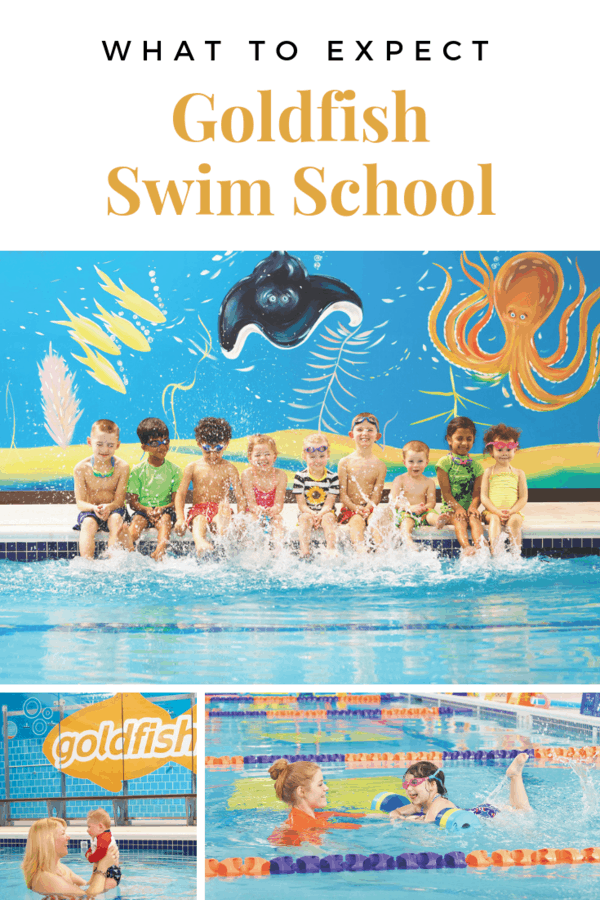 What to expect at Goldfish Swim School - A look at class size, the tropical decor, and the perks of having a membership #GoldfishSwimSchool #Omaha #swimming