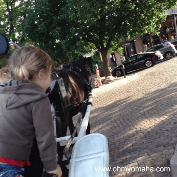 Omaha Old Market carriage rides aren't free but seeing the horses and petting them are.