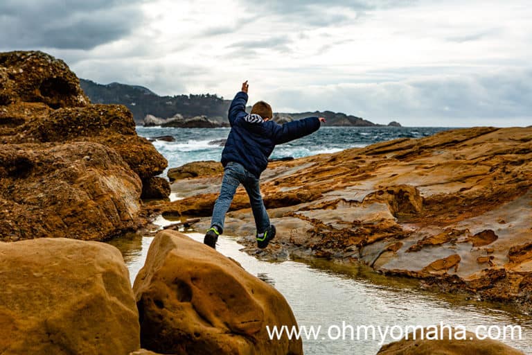 Things To Do At Point Lobos With Kids
