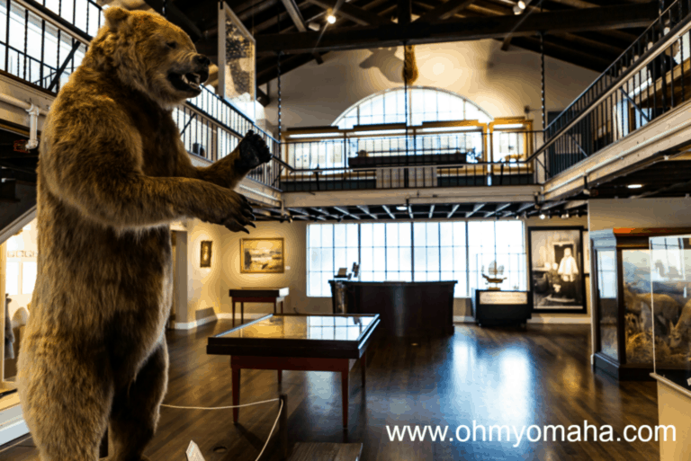 Things To Do On A Rainy Day In Monterey & Carmel-By-The-Sea