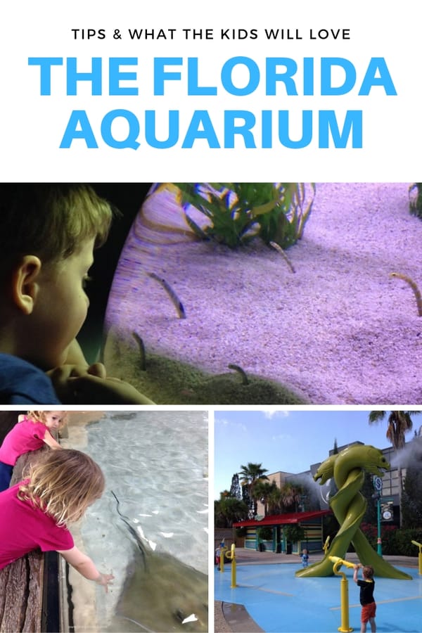 Looking for fun things to do in Tampa, Florida? Don't skip The Florida Aquarium! Here's a look at what kids will like at the aquarium, including the touch tanks and the awesome outdoor splash garden. This guide includes tips on how to save money, when to visit and what to bring. #familytravel #Tampa #Florida 