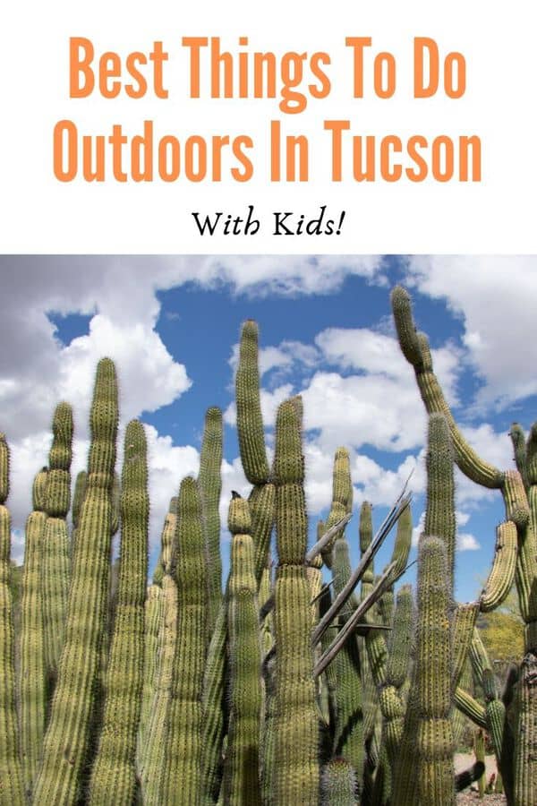 Tucson, Arizona is a great destination to experience the desert. Here are some of the best things to do outdoors in Tucson that are kid-friendly and scenic. Post includes tips on when to go and what to pack! #familytravel #Arizona #guide #USA