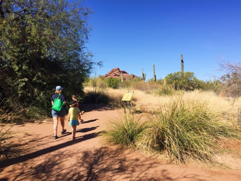 Guide To 24 Hours In Scottsdale With Kids