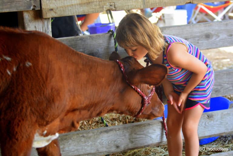 15+ Things To Do In Southwest Iowa With Kids