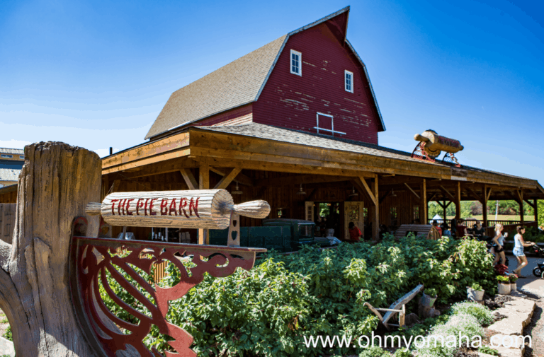 Top Must-Try Food At Vala’s Pumpkin Patch