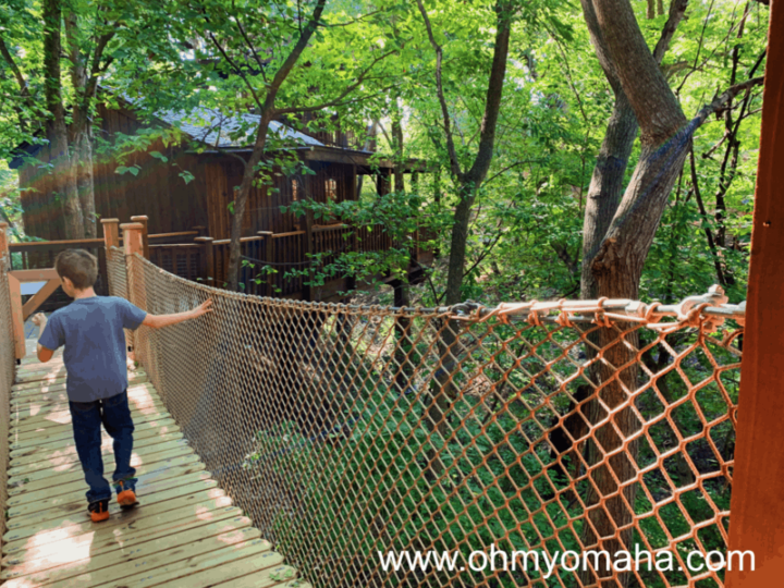 Image for Tree Adventure at Arbor Day Farm