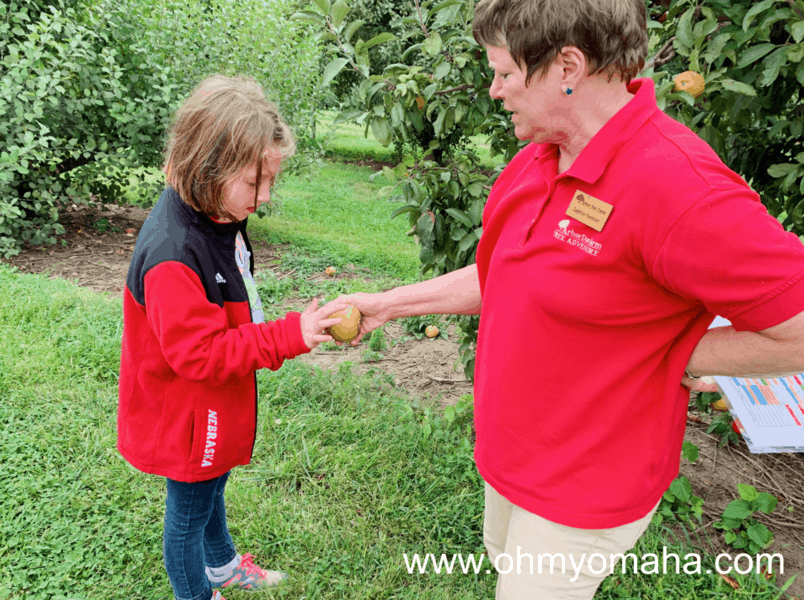 Shelley, the guide during our Discovery. Ride, showed my daughter one of the antique varieties of apples in the Preservation Orchard at Arbor Day Farm.