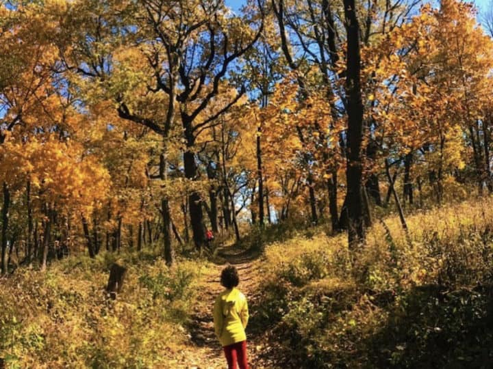 Image for 101 Things To Do In Nebraska