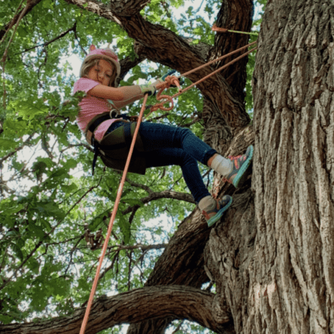 Tree Climbing Nebraska City