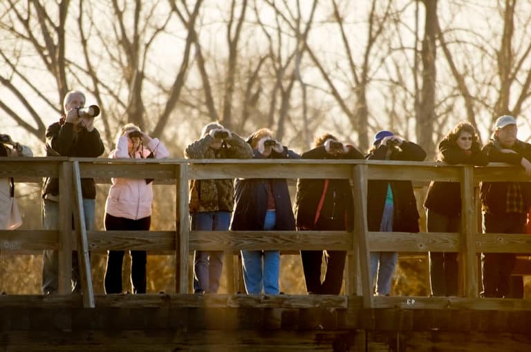 What To Bring When You Go See The Sandhill Cranes