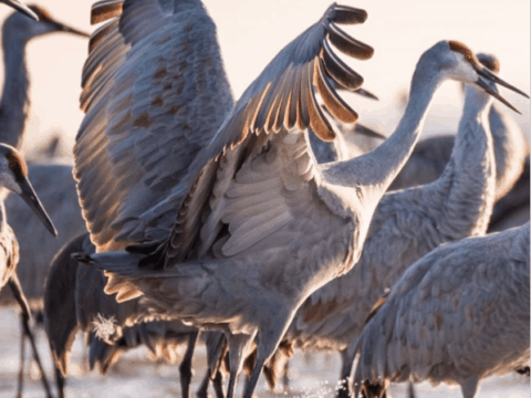 Image for Visit Nebraska (@visit_nebraska) 