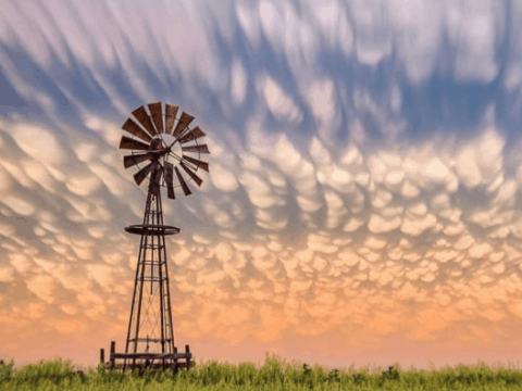 Image for Snapshot Nebraska (@snapshotnebraska)