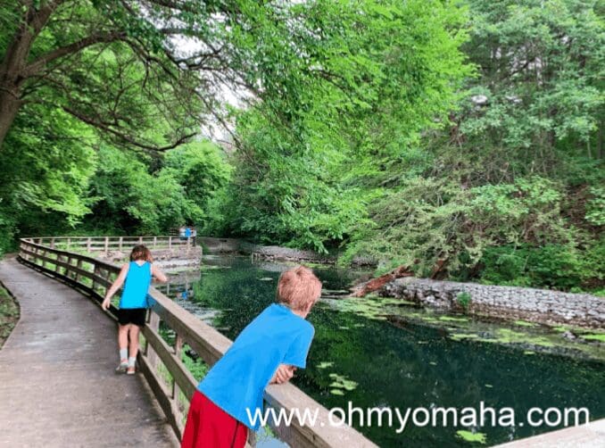 Ponds at the Schramm Park hatchery