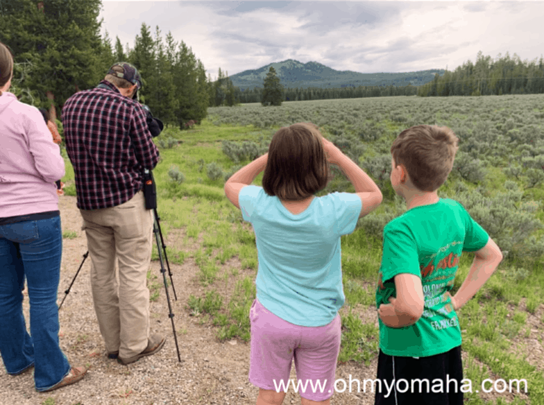 Kids and photographers watching Grizzly 399 and her cubs in the distance at Grand Teton National Park