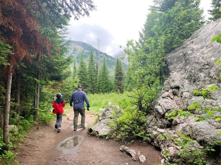 Try These Awesome (And Easy) Grand Teton Hikes