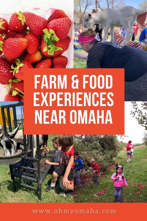 Explore agritourism in Nebraska and Iowa with these farm destinations near Omaha. Farm experiences include farm-to-table dinner, petting zoos, goat yoga, living history farms, u-pick fruits, and more!