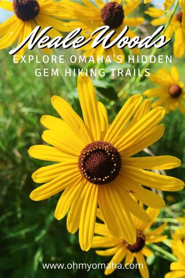 Omaha has an off-the-beaten hiking spot called Neale Woods. Get details on the trails -- both prairie and woodland trails -- as well as a recommended hike. #Nebraska #Midwest #Outdoors #Hikes