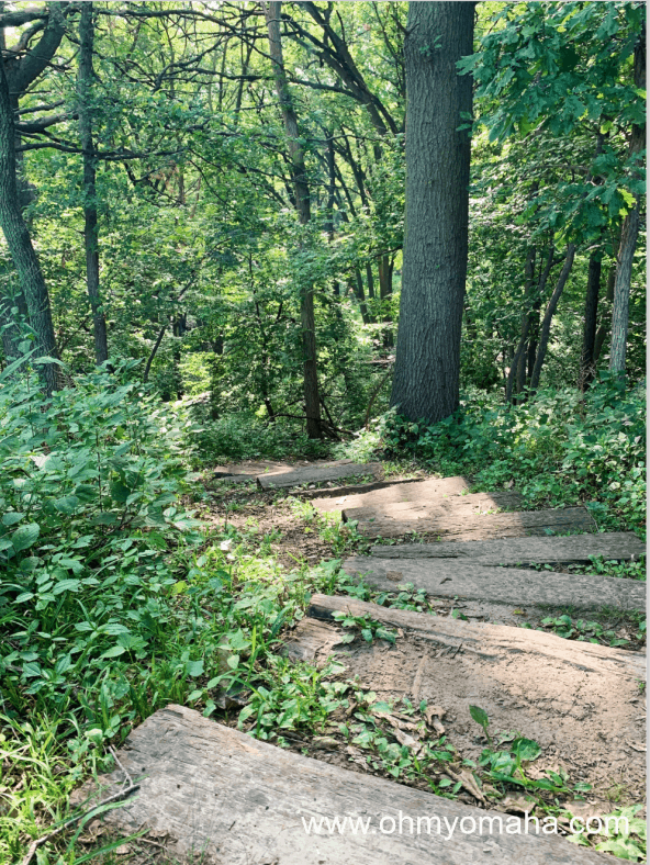 Steps at Owl Trail at Neale Woods in Omaha, Nebraska