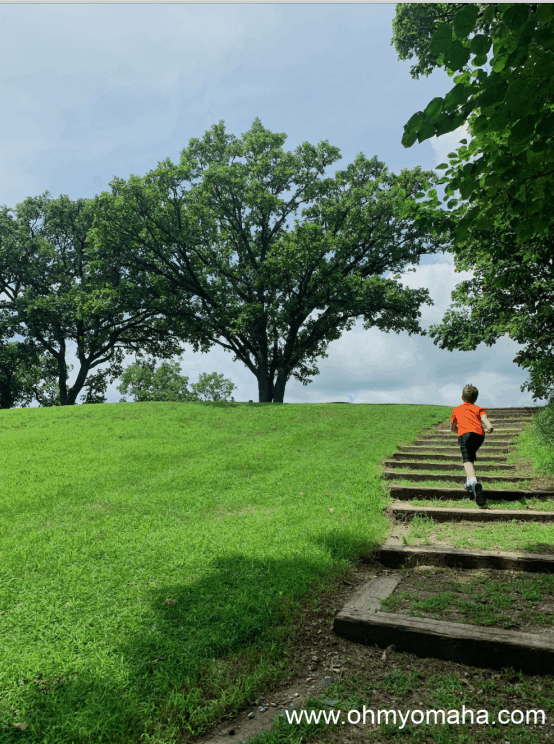 The short path up to the scenic overlook at Waubonsie State Park