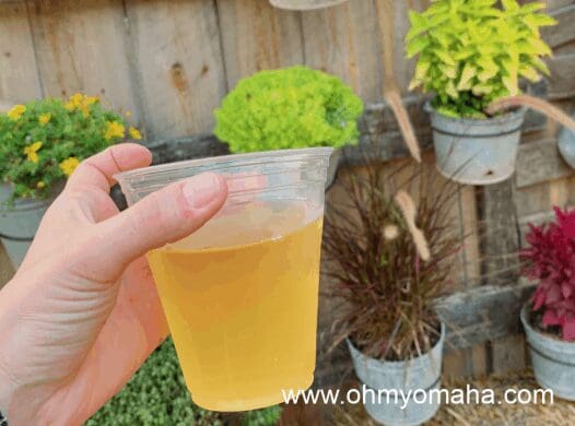 Hand holding cup of hard apple cider