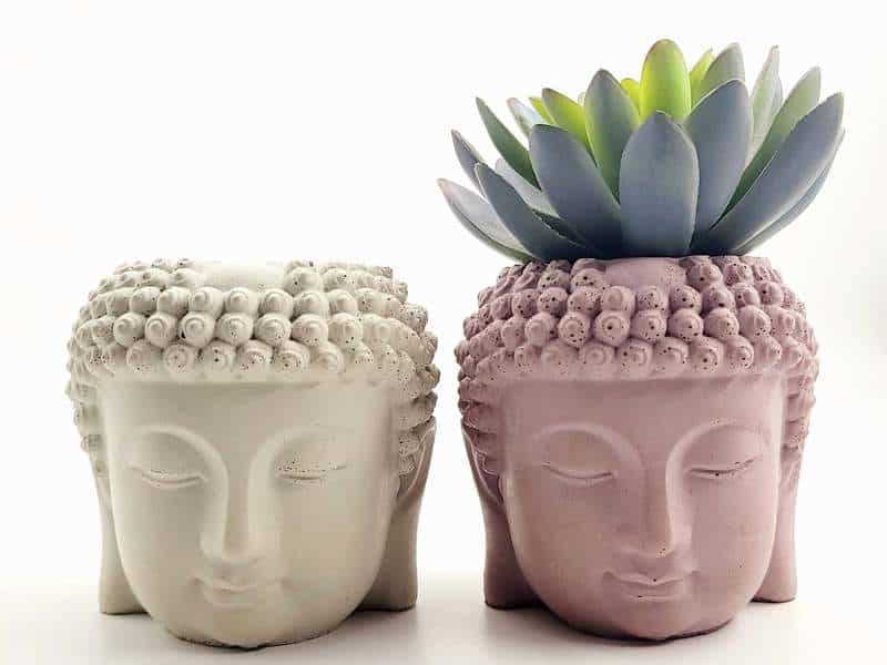 Succulent planters made by Omaha maker Consider Concrete
